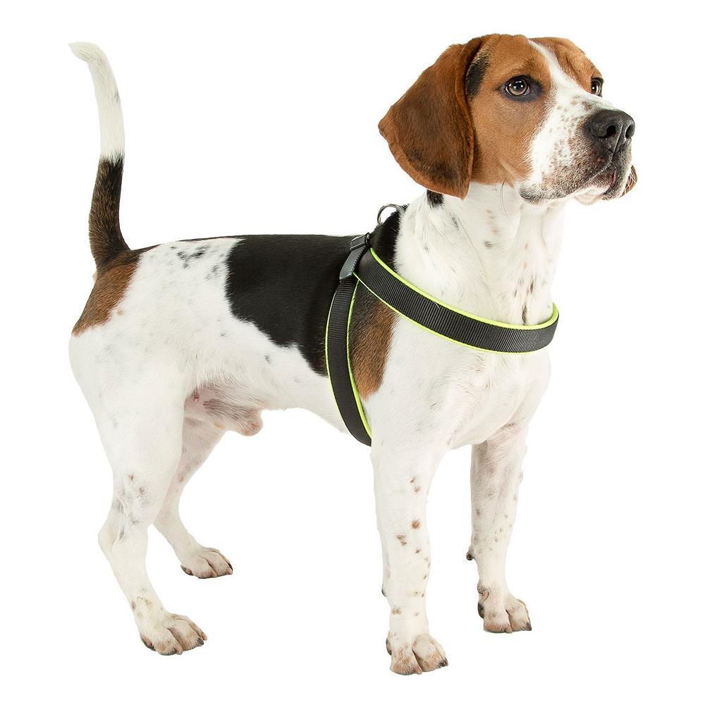 Pettorina Per Cani Agila Ergocomfort Fluo 7 Giallo - Foto 7