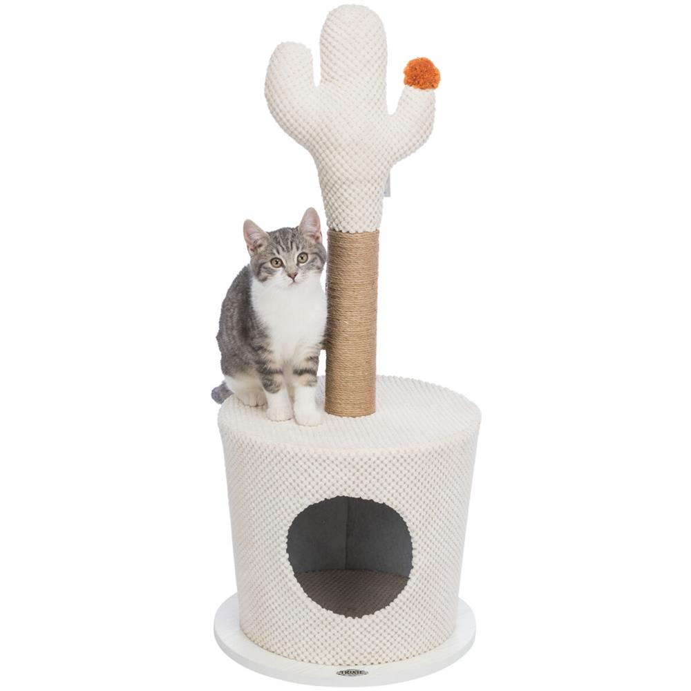 Nicchia Per Gatti Con Cactus 36x84 Cm Crema - Foto 2