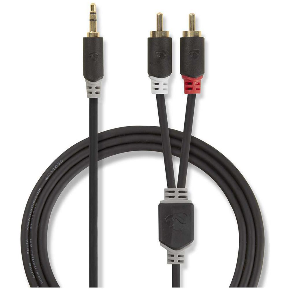 CABW22200AT100 cavo audio 10 m 3.5mm 2 x RCA Antracite - Foto 1