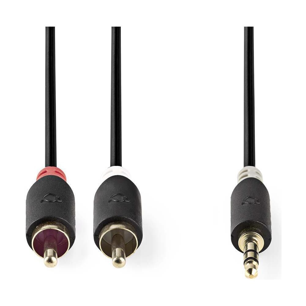 CABW22200AT100 cavo audio 10 m 3.5mm 2 x RCA Antracite - Foto 2