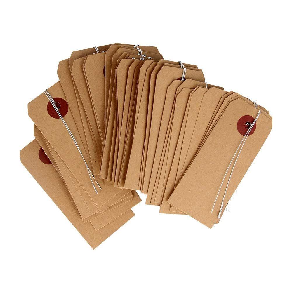 NUOBESTY Etichette Per Bagagli Vuote 6x12 Cm Con Filo in Pvc Resistente 100 Pezzi Per Identificazione Valigie e Spedizioni Uso Viaggio e Organizzazione Casa Ufficio