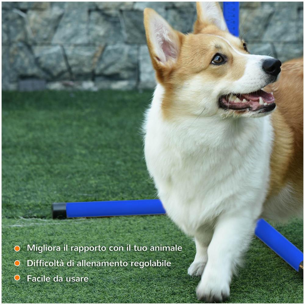 Set di 4 Ostacoli Agility Dog per Addestramento Cani ad Altezza Regolabile con Borsa da Trasporto Inclusa, 99x65x94cm, Blu - Foto 6