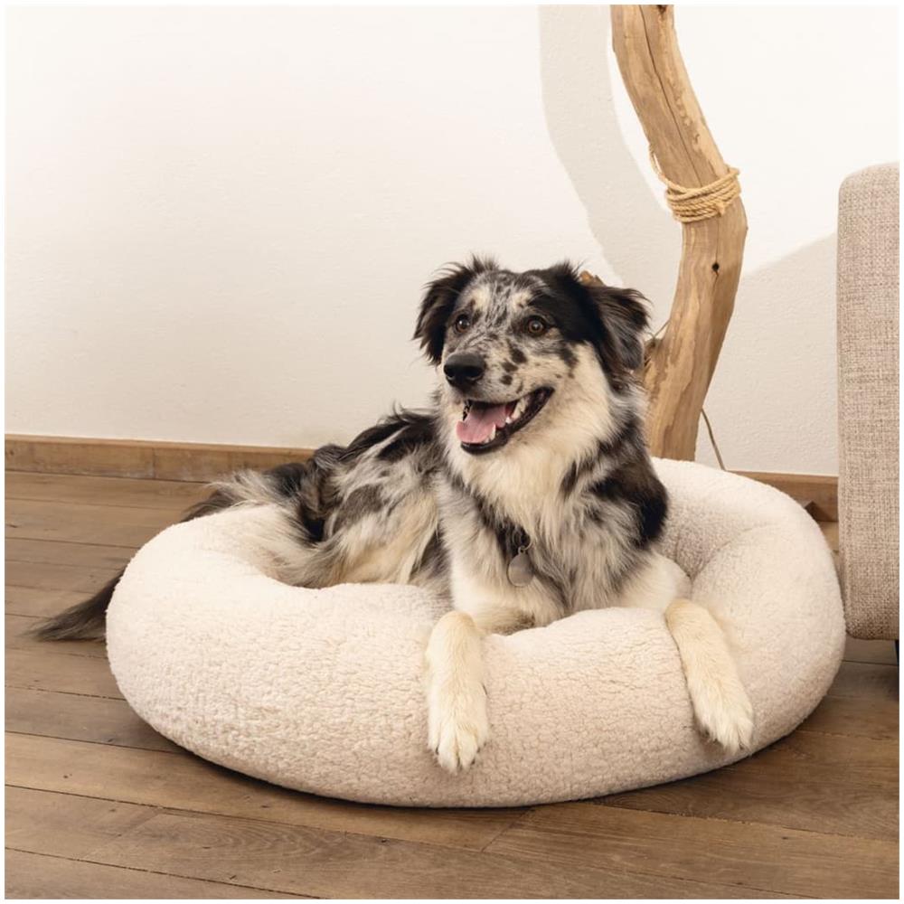 Cuccia Per Cani In Schiuma Viscoelastica Jaxx 60x25cm Beige - Foto 2