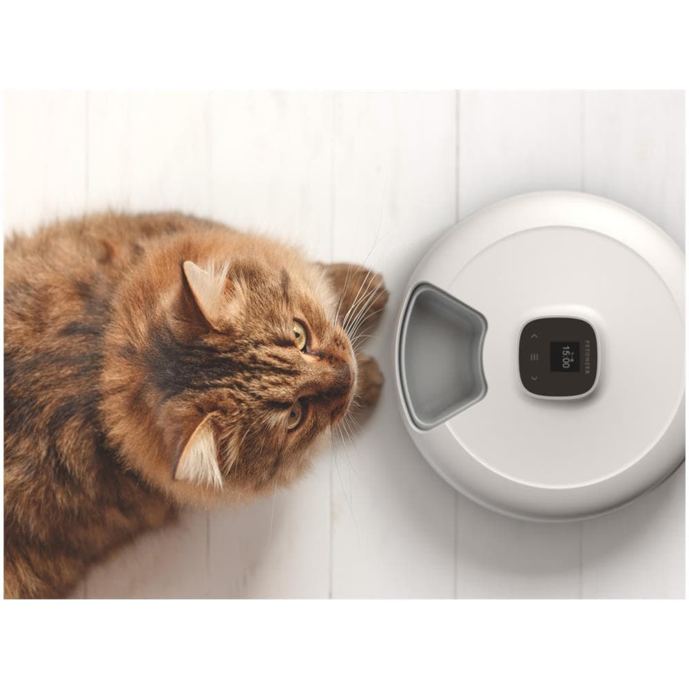 Distributore Alimentare Automatico per Animali Domestici NutriSpin PF001 / PF006 6 Pasti Cibo Secco e Umido Bluetooth 5.0 - Foto 2