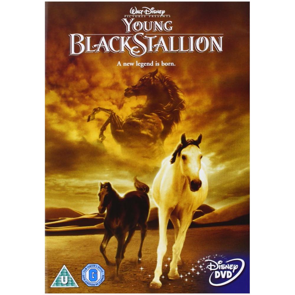 Young Black Stallion [ Edizione: Regno Unito] - Foto 1