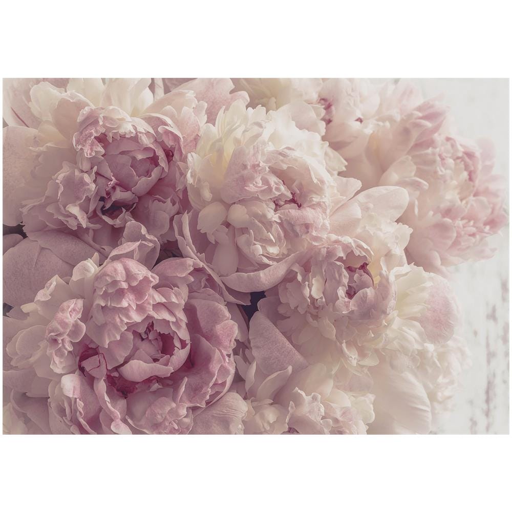 Carta Da Parati Rose, Floreale, Fotomurali 400x280 Cm, Stile Fiori, Rose, Boccioli Di Rosa, Carta Da Parati 3d Per Camera Letto, Soggiorno, Multicolore U31353 - 2