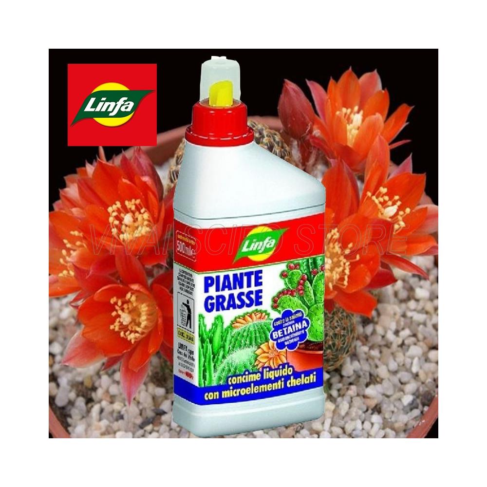 Concime Piante Grasse 500 Ml - Foto 2