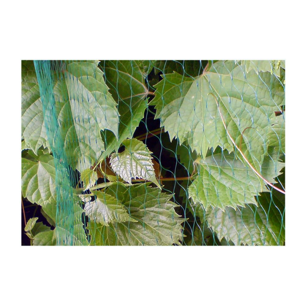 Verde Durevole Albero Netto piùnta Protezione Frutta 19x19mm 4x20m Contro Uccello - Foto 2