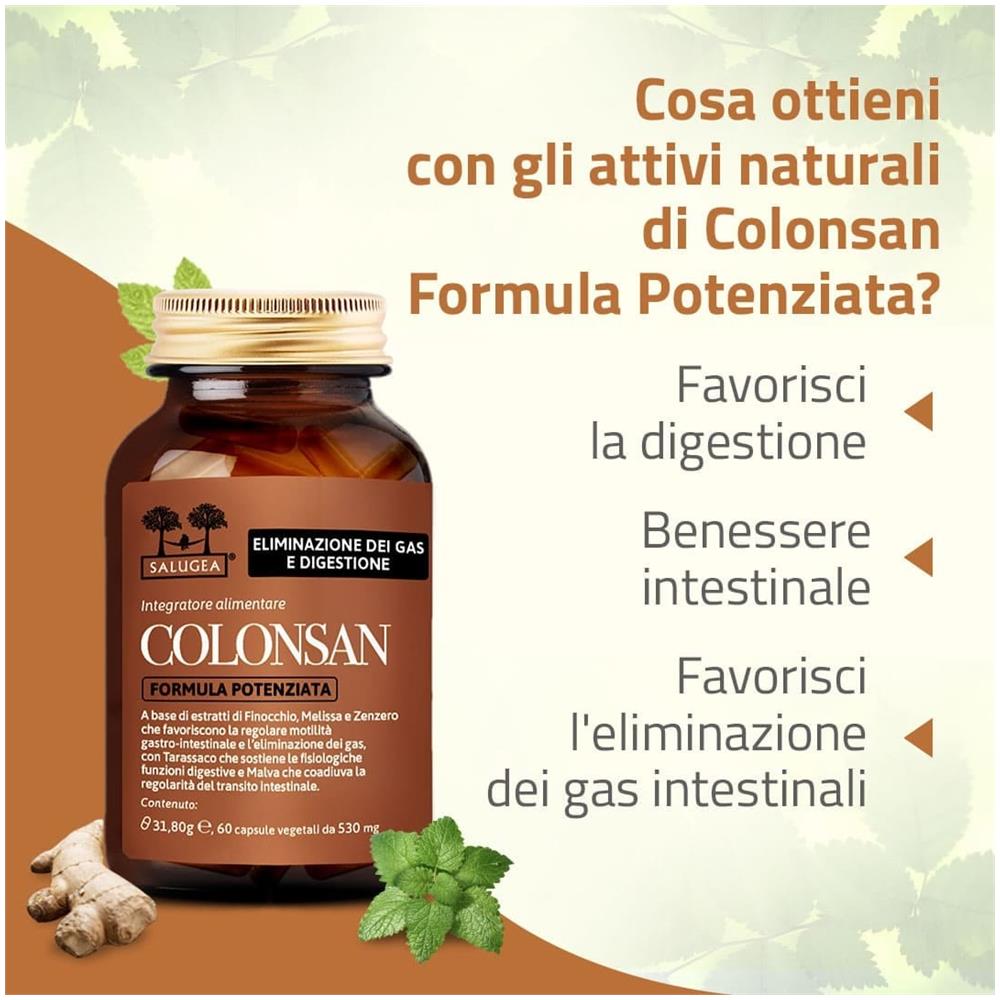 Colonsan Formula Potenziata 60 Capsule - Foto 1