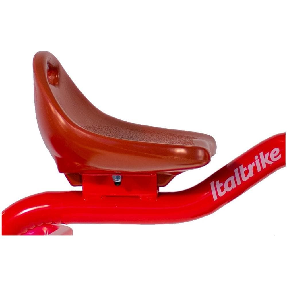 Triciclo Transporter Champion con Ruota 10" 1021TRA996046 - Foto 4