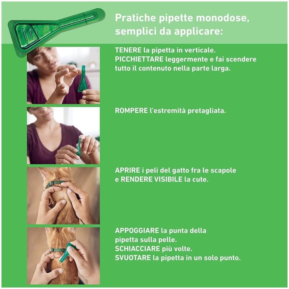 Frontline Combo Gatti x3 Pipette, Antiparassitario per Gatti, Gattini e Furetti, Contro Pulci, Zecche, Uova, Larve e Pidocchi - Foto 1