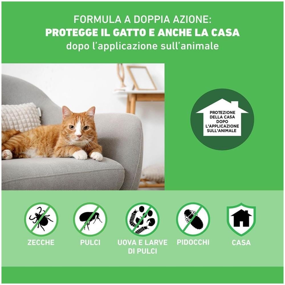 Frontline Combo Gatti x3 Pipette, Antiparassitario per Gatti, Gattini e Furetti, Contro Pulci, Zecche, Uova, Larve e Pidocchi - Foto 2