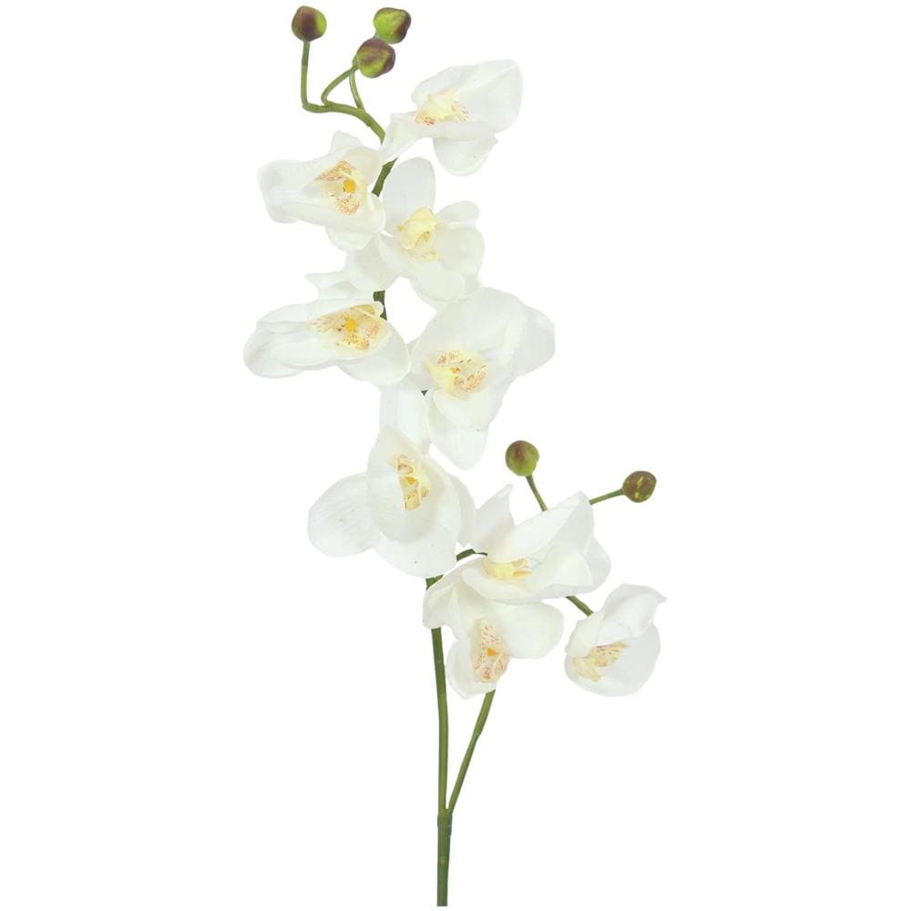 Orchidea Spruzzo, Bianco-crema, 100cm - Foto 1