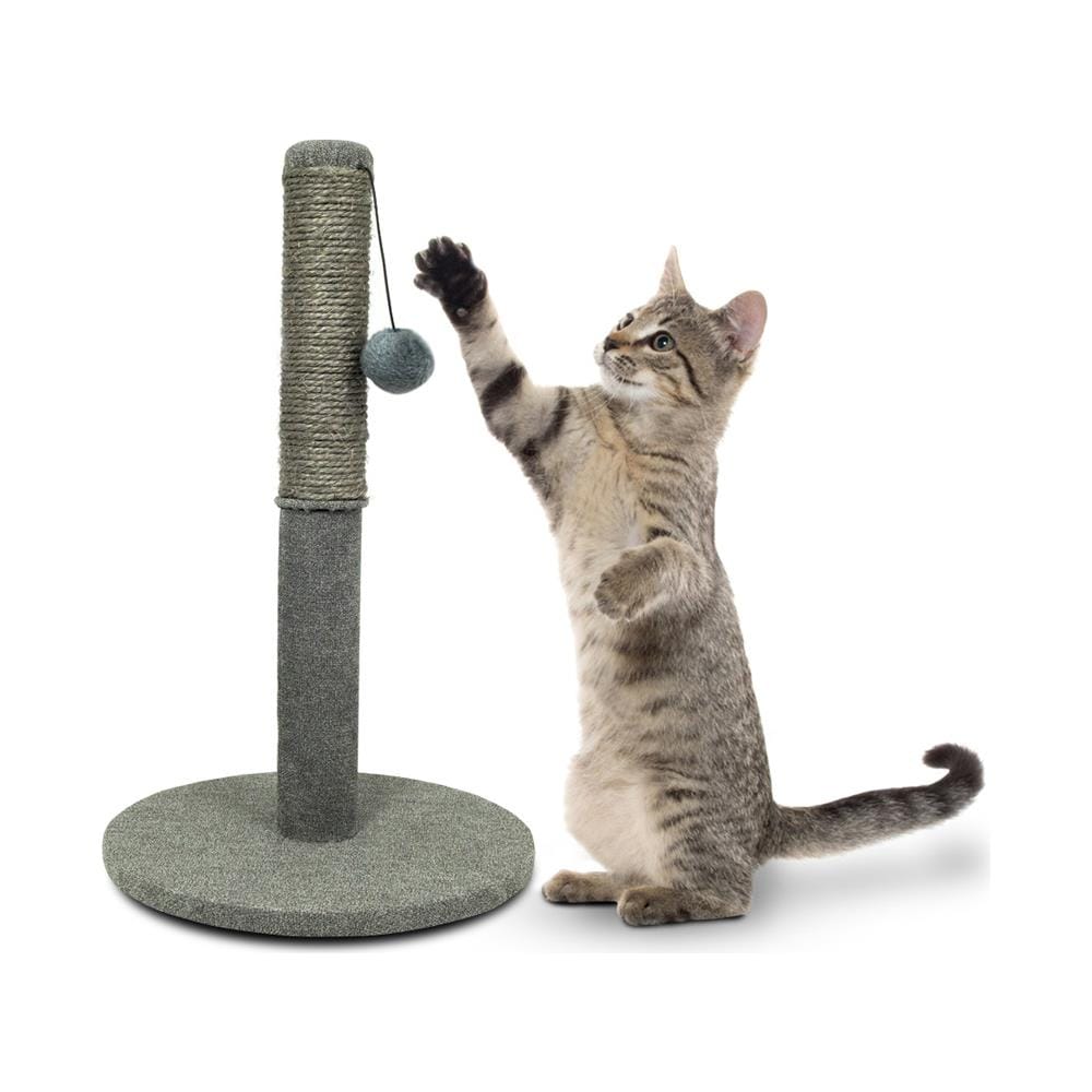 Tiragraffi A Colonna Giocattolo Palestra Per Gatti Modello Cerchio - Foto 1