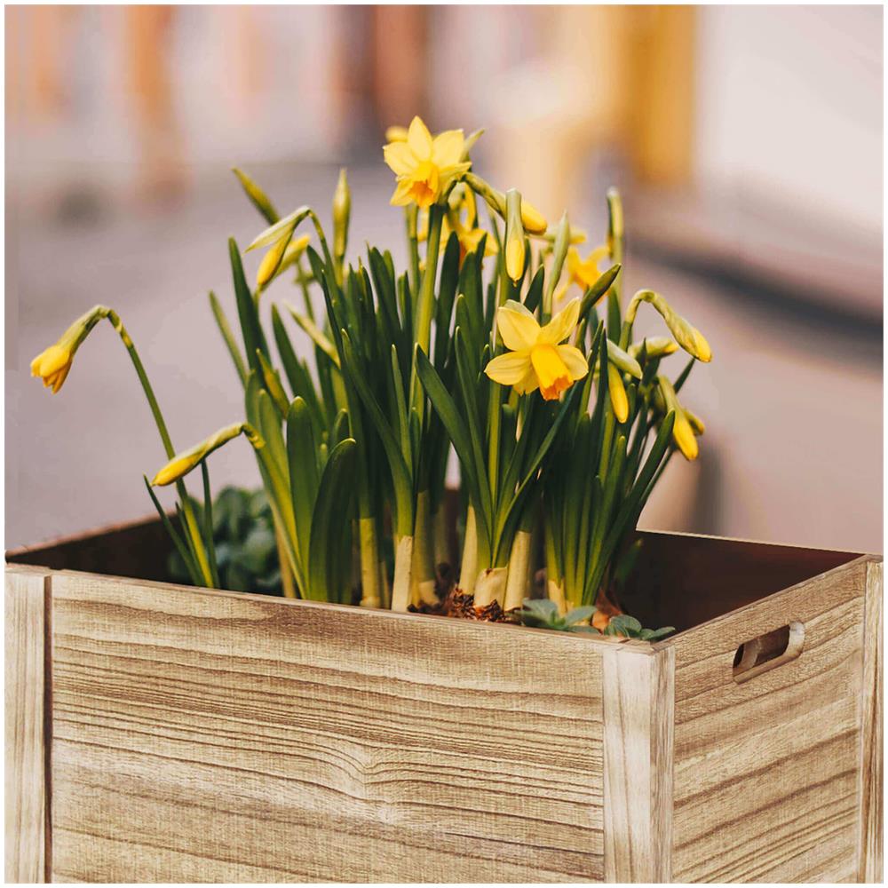 Jaxson - Set Di 4 Cassette In Legno - Foto 3