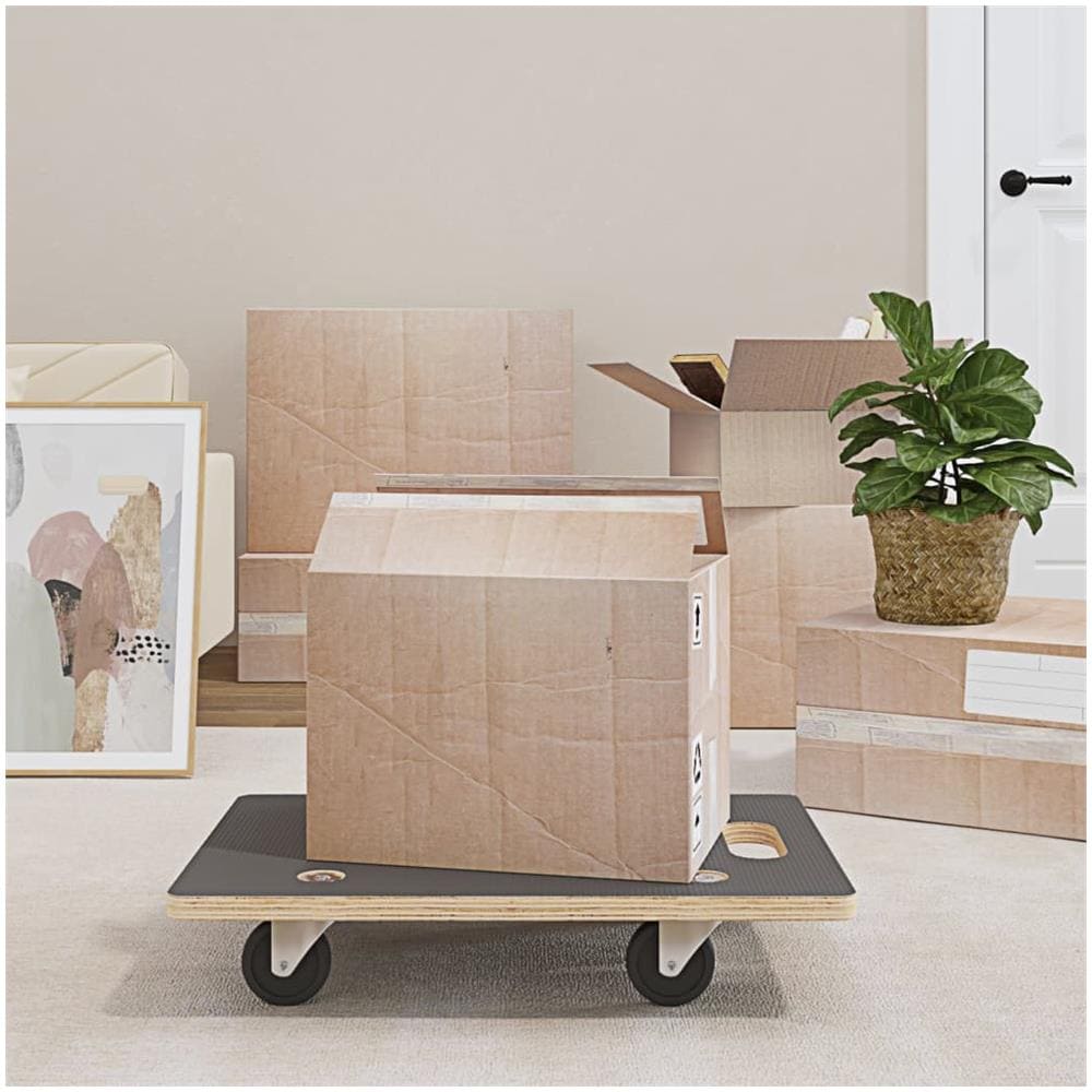 Pedane di Trasporto 2 pz Rettangolari 60x40x11,5 cm 250 kg - Foto 1