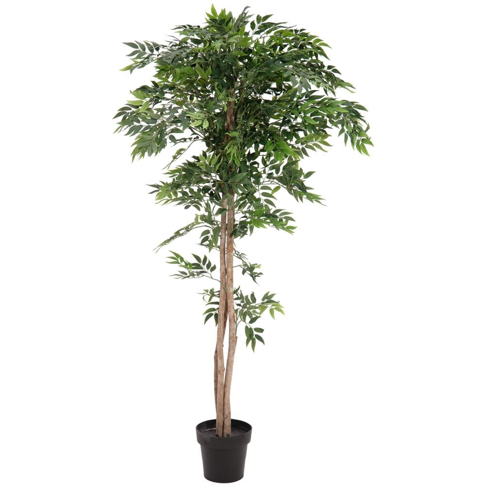 Ficus Longifolia, Artificial Plant, 165cm - Foto 1