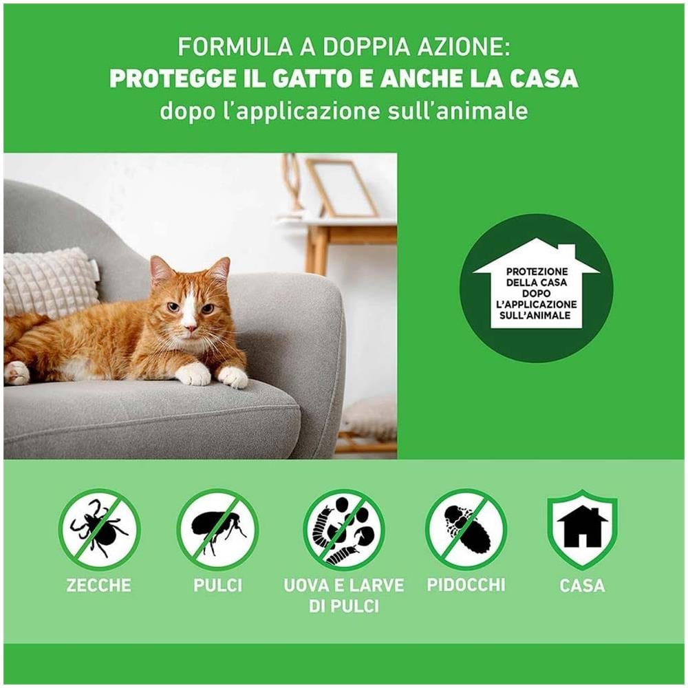 Frontline Combo Gatti x6 Pipette, Antiparassitario per Gatti, Gattini e Furetti, Contro Pulci, Zecche, Uova, Larve e Pidocchi - Foto 1