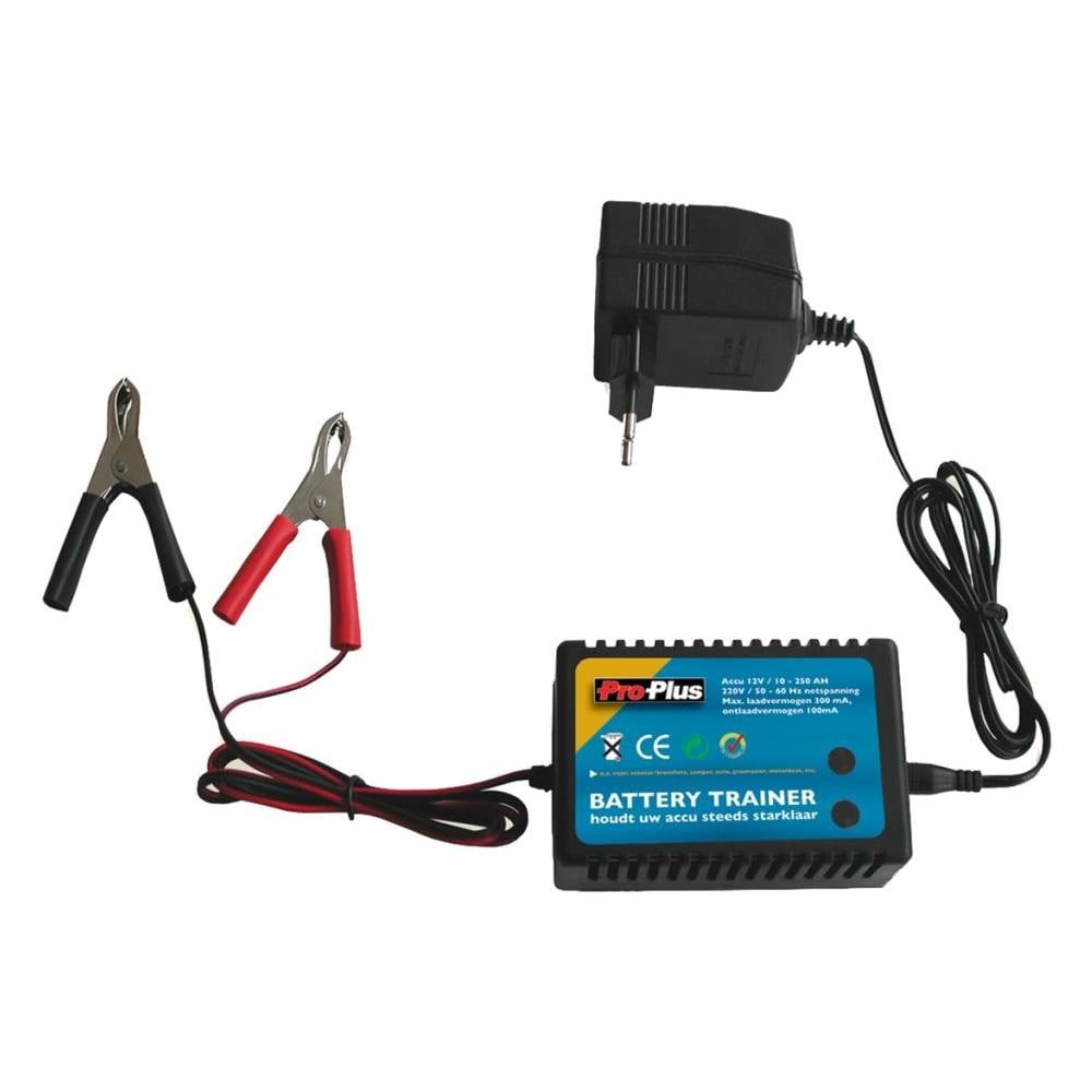 550165 Trainer Allenatore Per Batteria 12 V - Foto 1