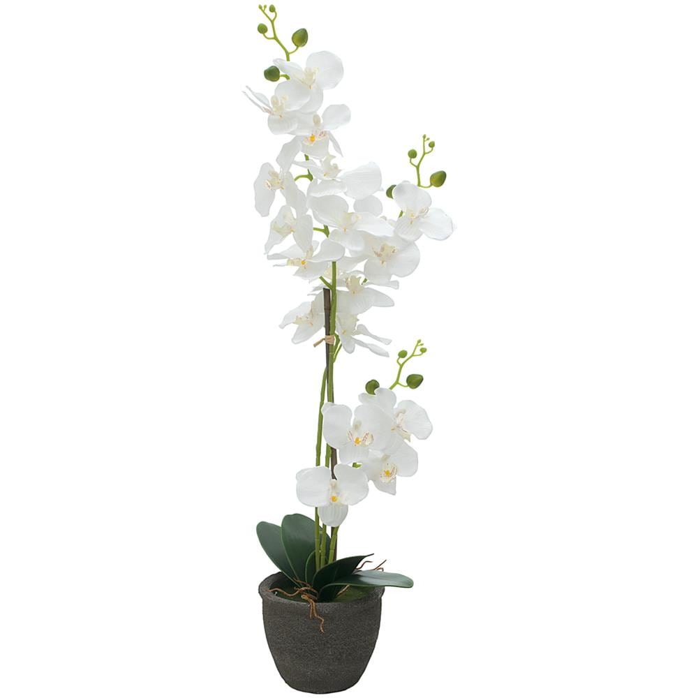 Orchid, Artificial Plant, White, 80cm - Foto 1