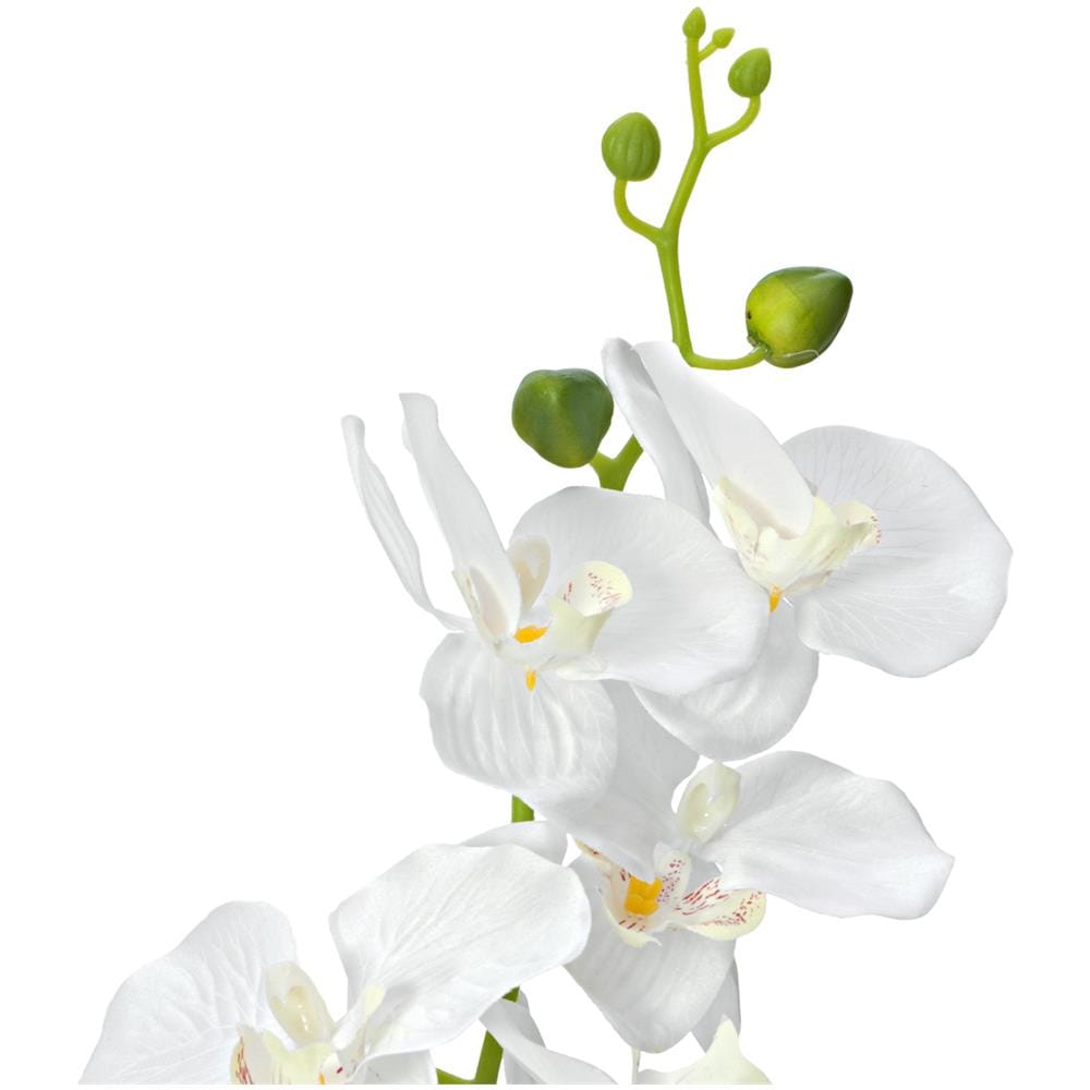 Orchid, Artificial Plant, White, 80cm - Foto 2
