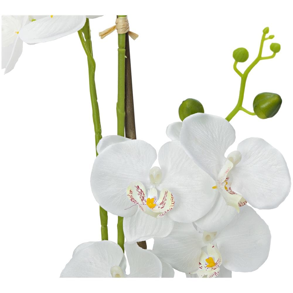 Orchid, Artificial Plant, White, 80cm - Foto 3
