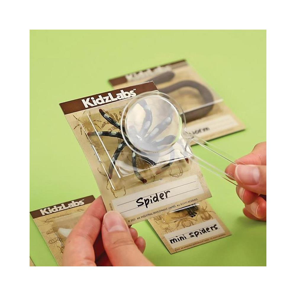 Science Discovery Kit - Kit Dell'insetto Strisciante - Foto 2