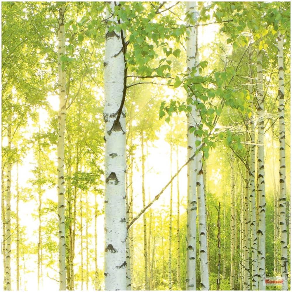 Fotomurale Sunday 368x254 Cm - Foto 2