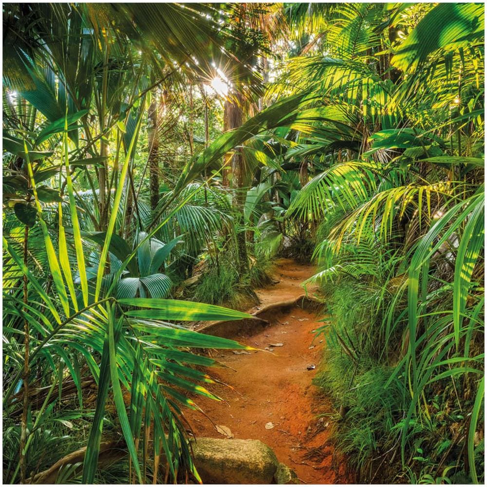 Fotomurale Jungle Trail 368x254 Cm - Foto 1