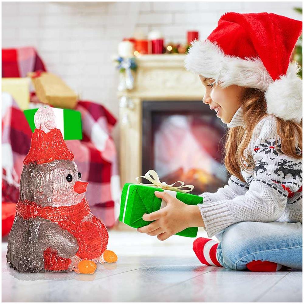 Pinguino Forma Acrilica Addobbo Natalizio Led Illuminazione Esterni e Interni - Foto 5