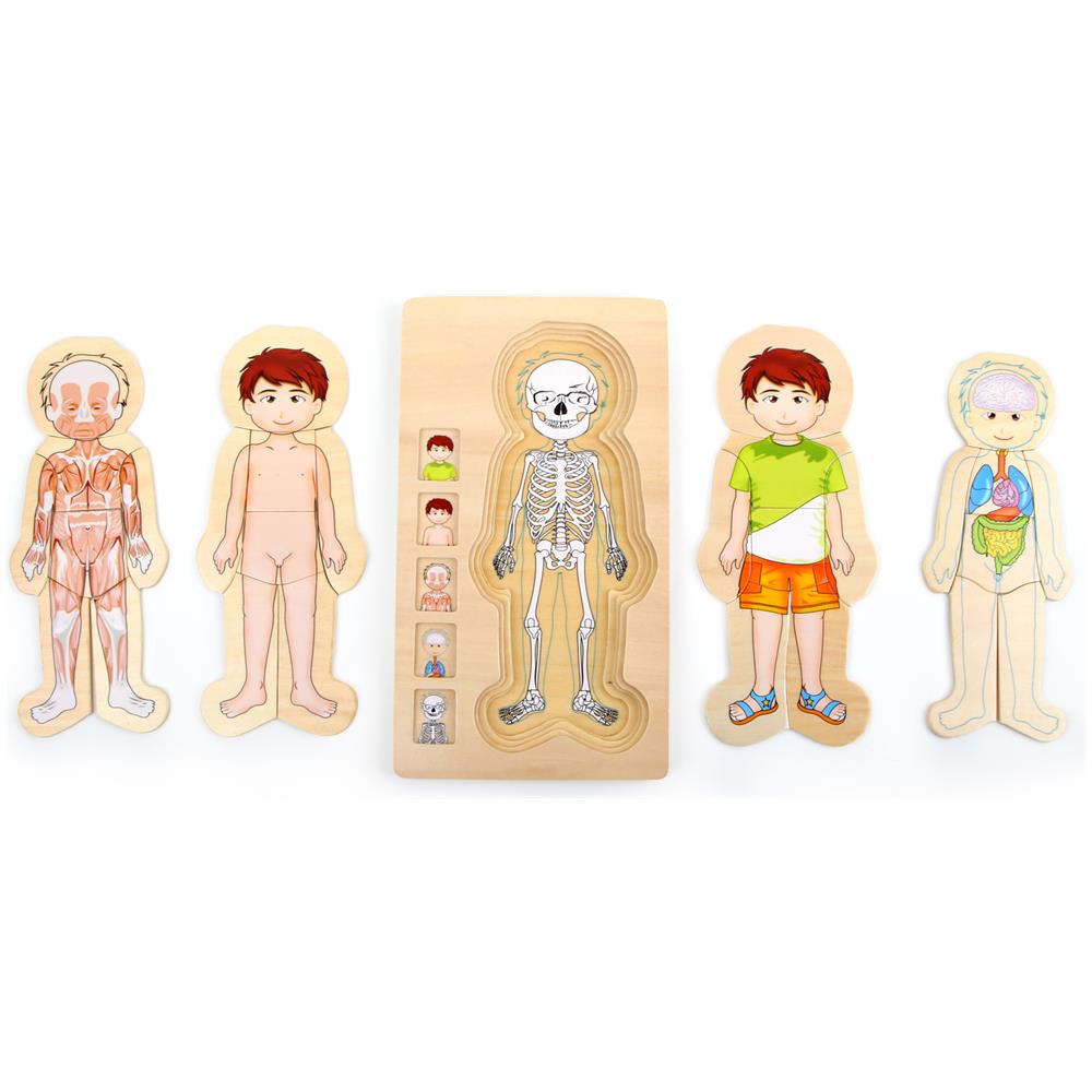 Puzzle A Strati Anatomia Ragazzo - Foto 1