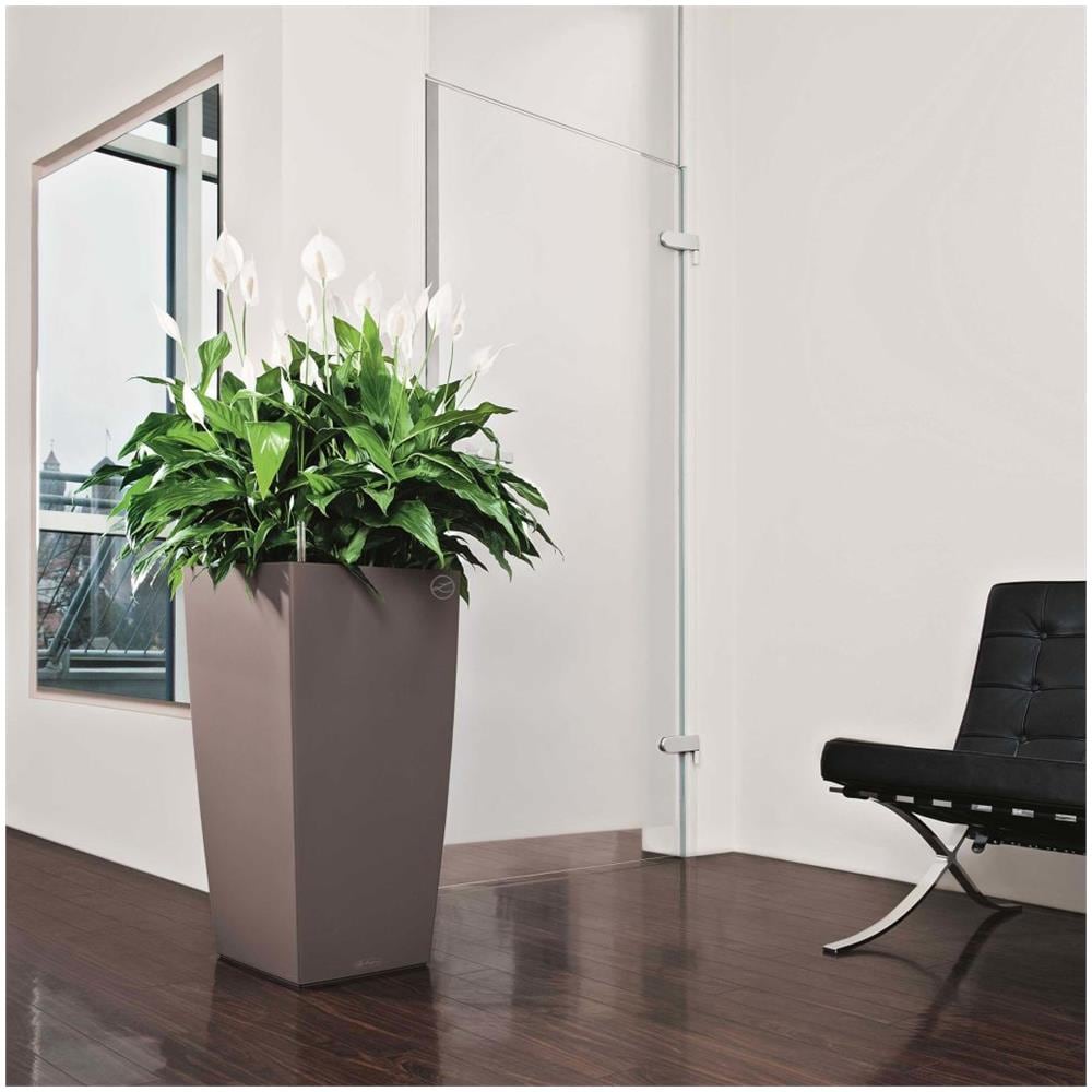 Fioriera Cubico Color 40 ALL-IN-ONE Noce Moscata 13151 - Foto 8