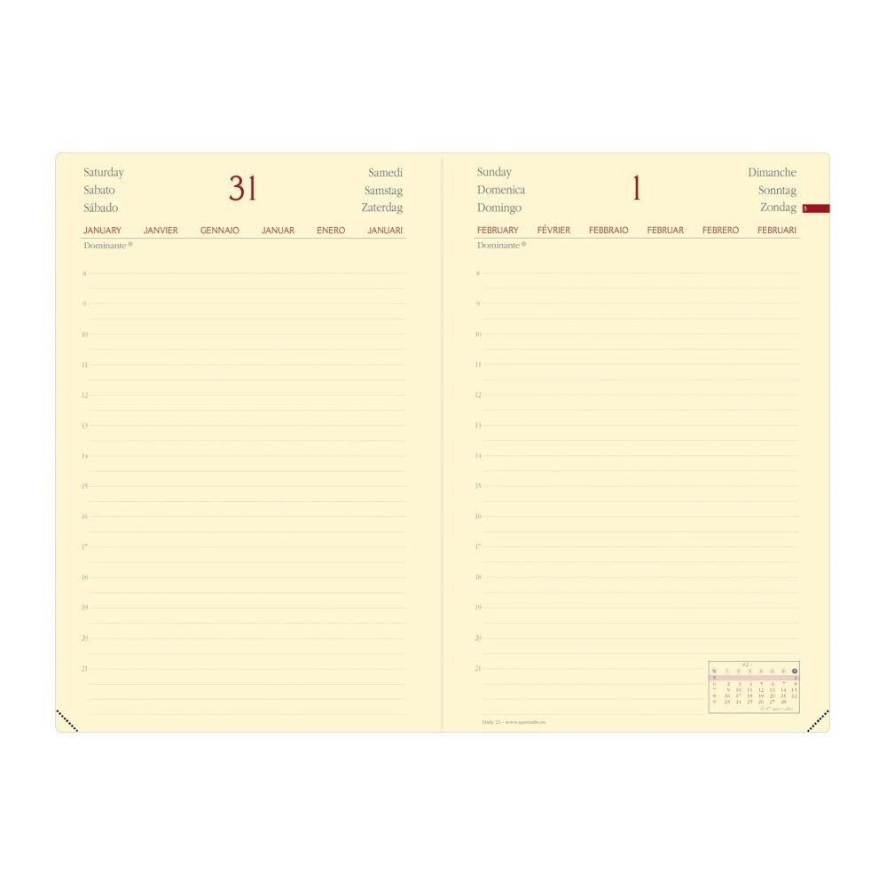 DAILY 21 PRESTIGE ML SILK BORDEAUX - Foto 2