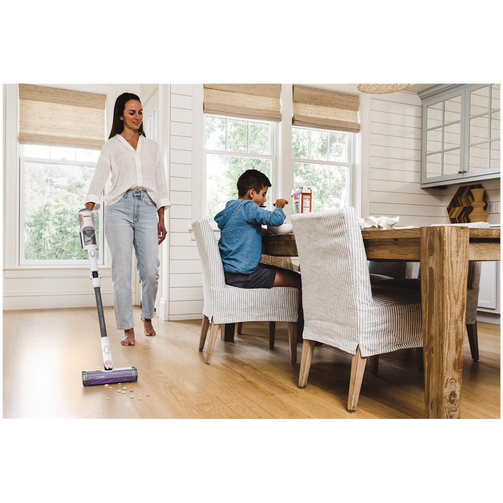 IW1611DE aspirapolvere senza filo Acciaio inox, Bianco Senza sacchetto - Foto 2