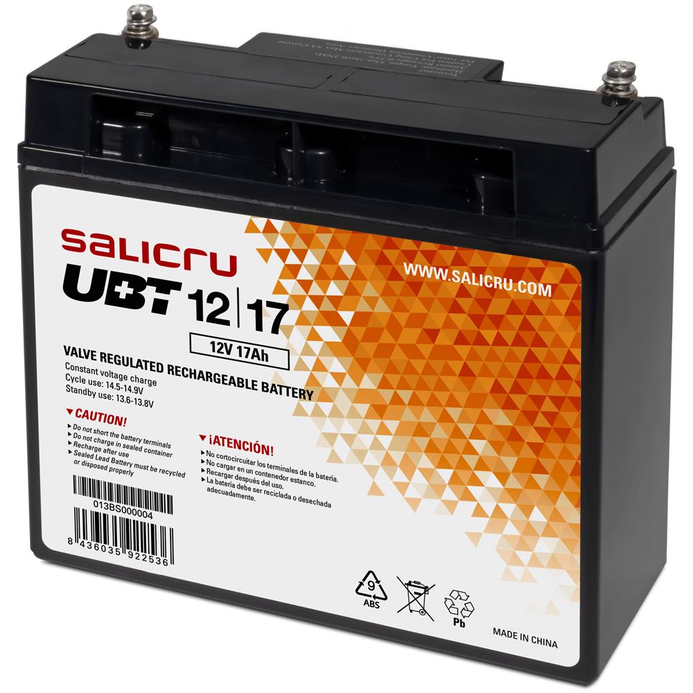 013BS000004 batteria UPS Acido piombo (VRLA) 12 V 17 Ah - Foto 1