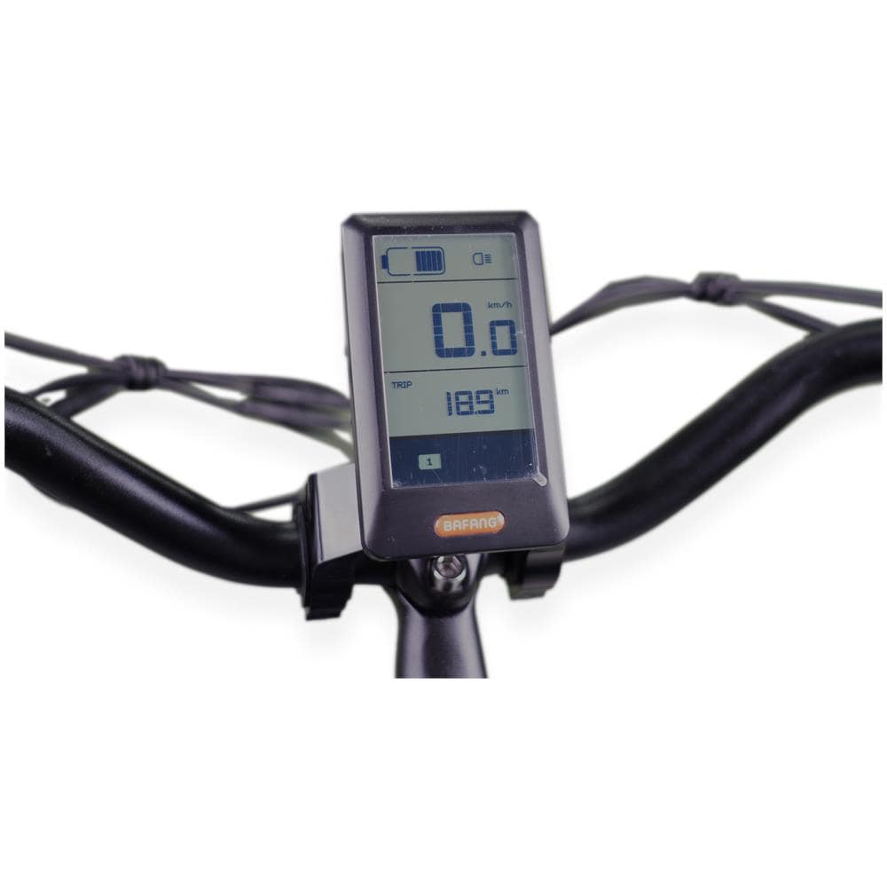 Bliss - Grigio Antracite - 250w / 12ah - Bicicletta Elettrica Pieghevole Vintage Retrò Personalizzata - Foto 4