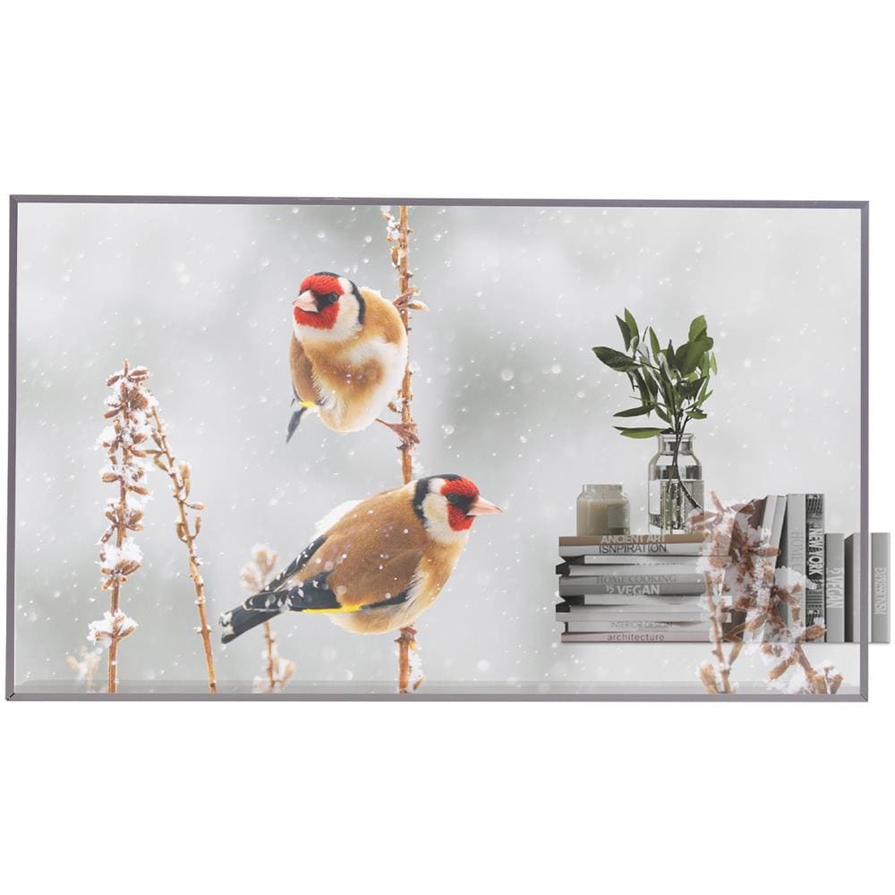 Display LFD 55" OLED 55EW5P-M 1920x1080 Full HD - Foto 1