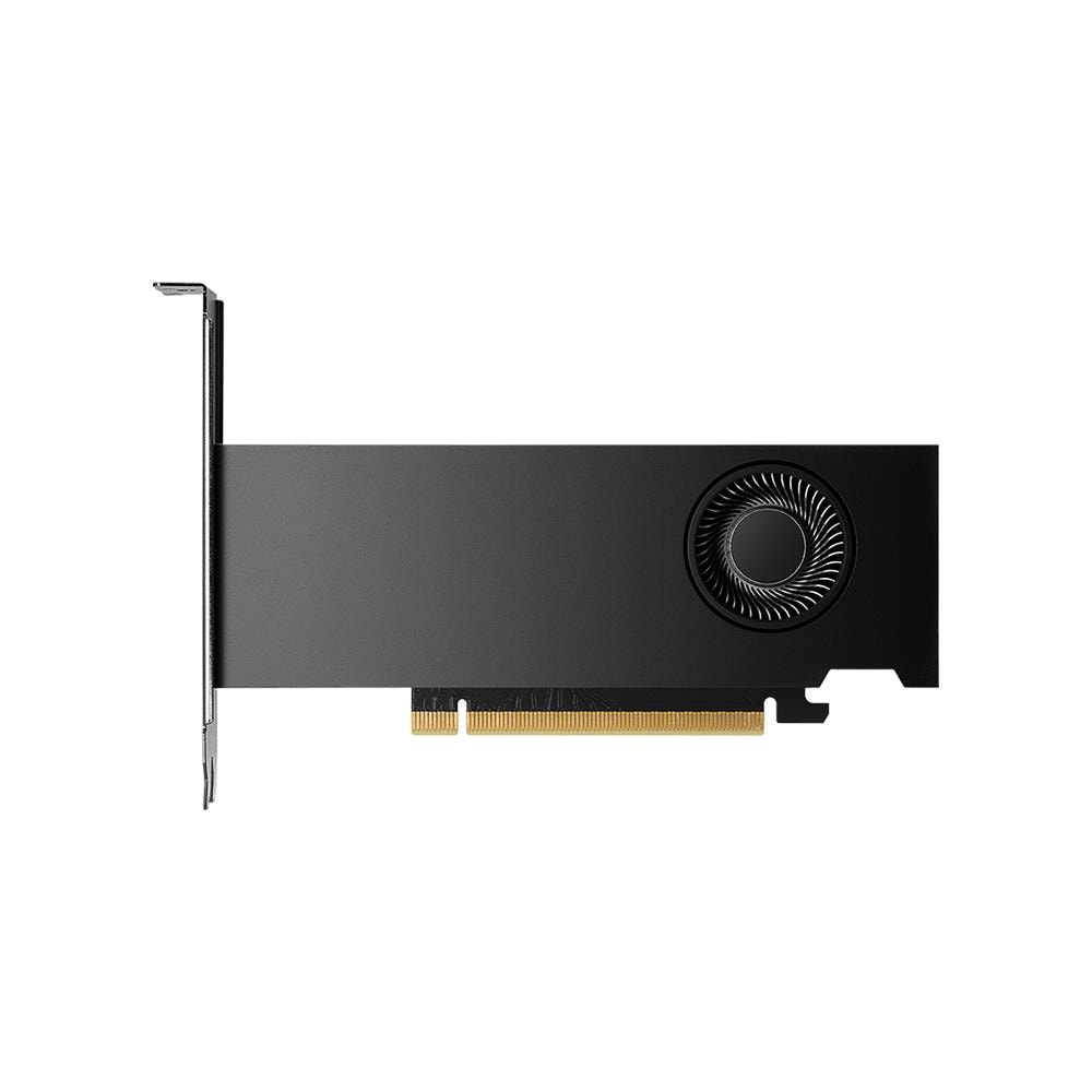 NVIDIA RTX 2000 Ada Generation 16 GB GDDR6 PCIe 4.0 x8 4 x Mini Display Port 1.4a - Foto 1