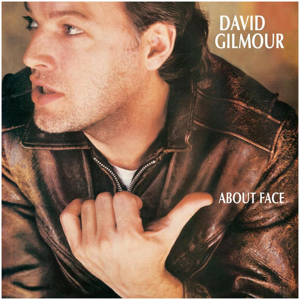 David Gilmour - About Face - Foto 1