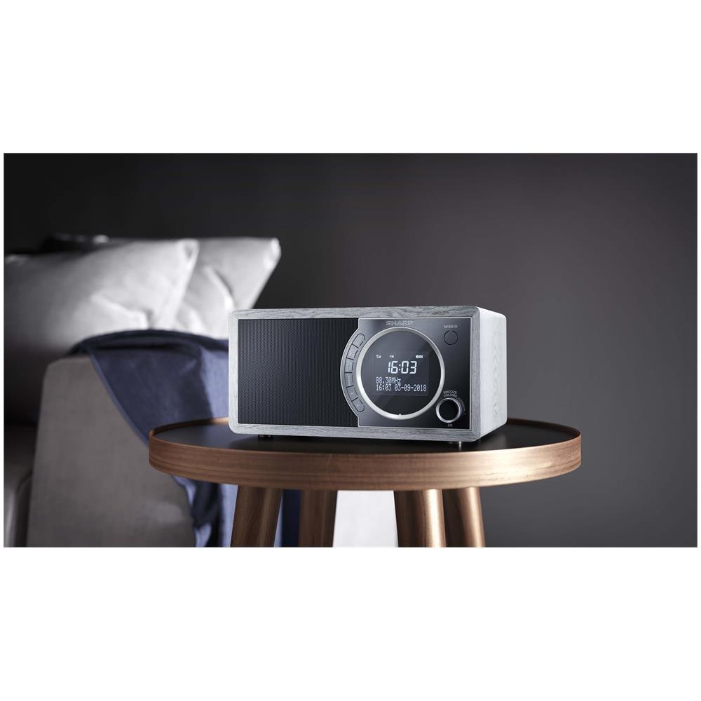 DR-450 (GR) radio Orologio Grigio - Foto 5