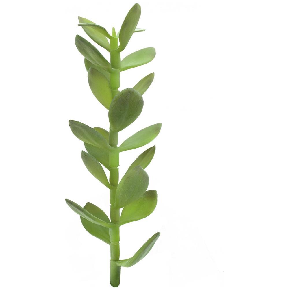 Albero Di Soldi Sparare, 30cm - Foto 1