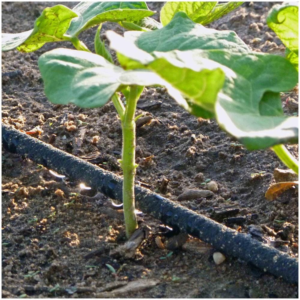 Tubo Di Irrigazione A Goccia Preforato 15mt 86599 - Foto 3