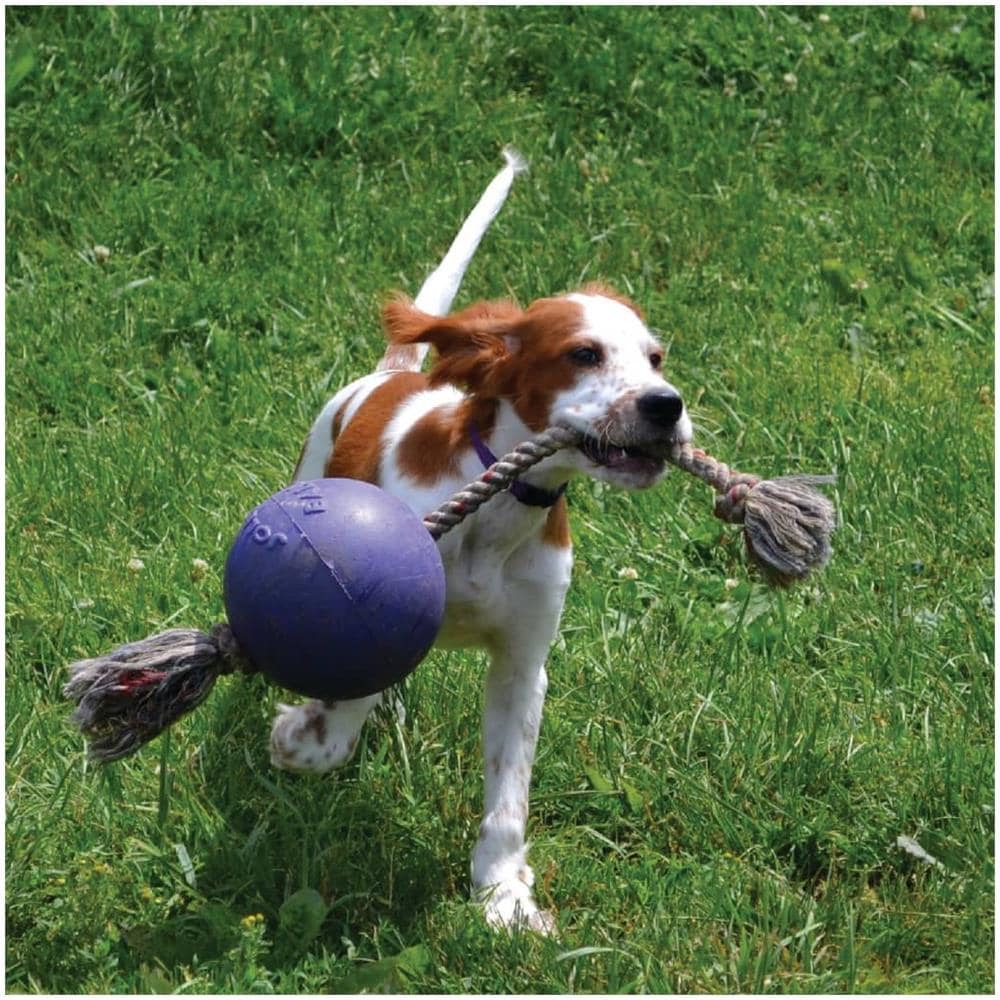 Palla Romp-n-roll Giocattolo Per Cani 20 Cm Blu - Foto 2