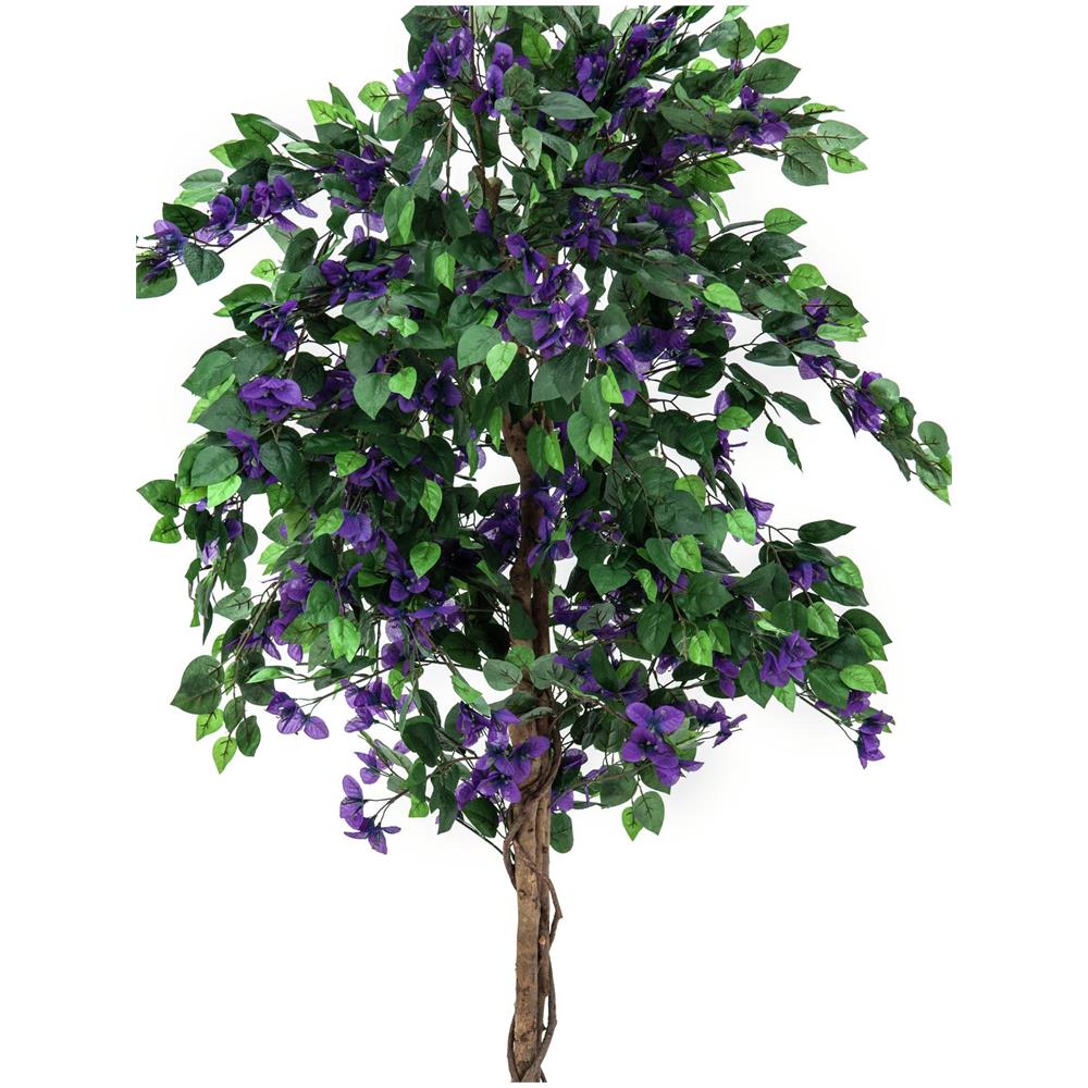 Bouganville, Lavanda, 180cm - Foto 1