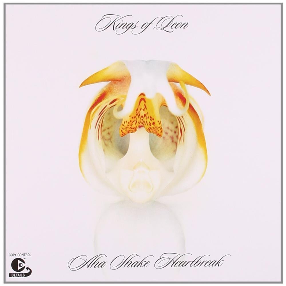 Kings Of Leon - Aha Shake Heartbreak - Foto 1