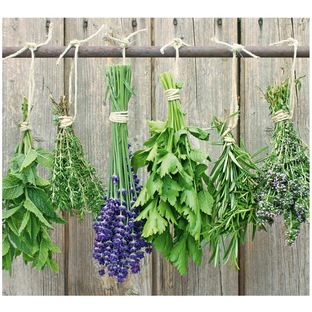 Lawenda Piastra In Vetro Per Piano Cottura - Grande, Zeller - Foto 2