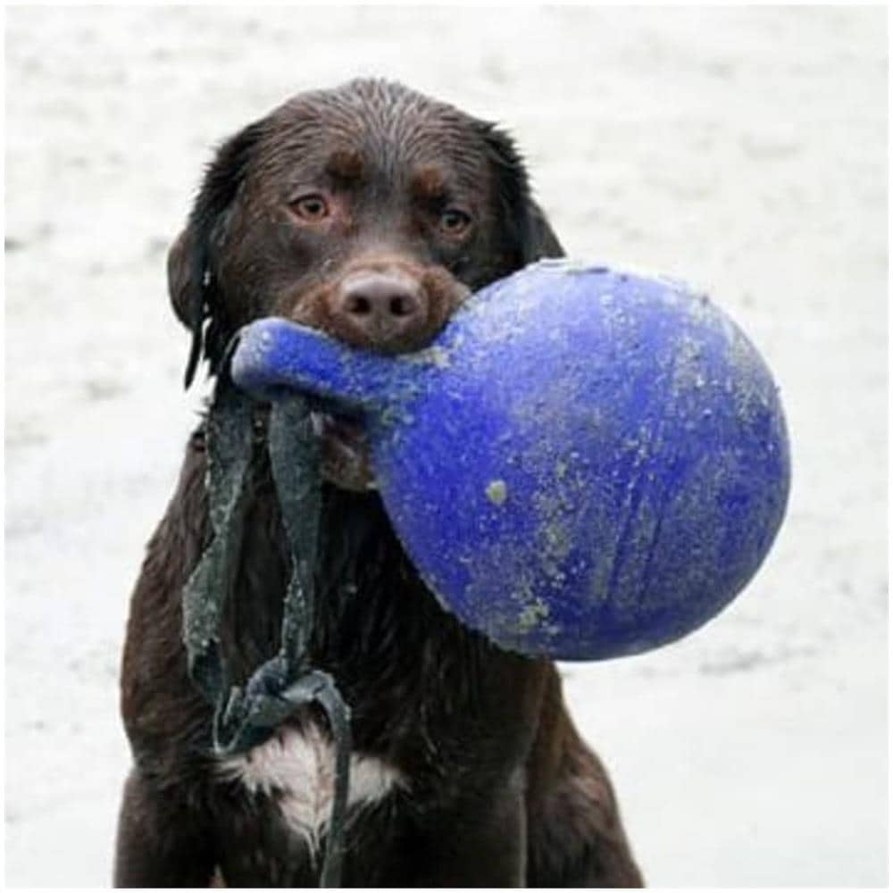 Palla Tug-n-toss Giocattolo Per Cani 15 Cm Blu - Foto 6