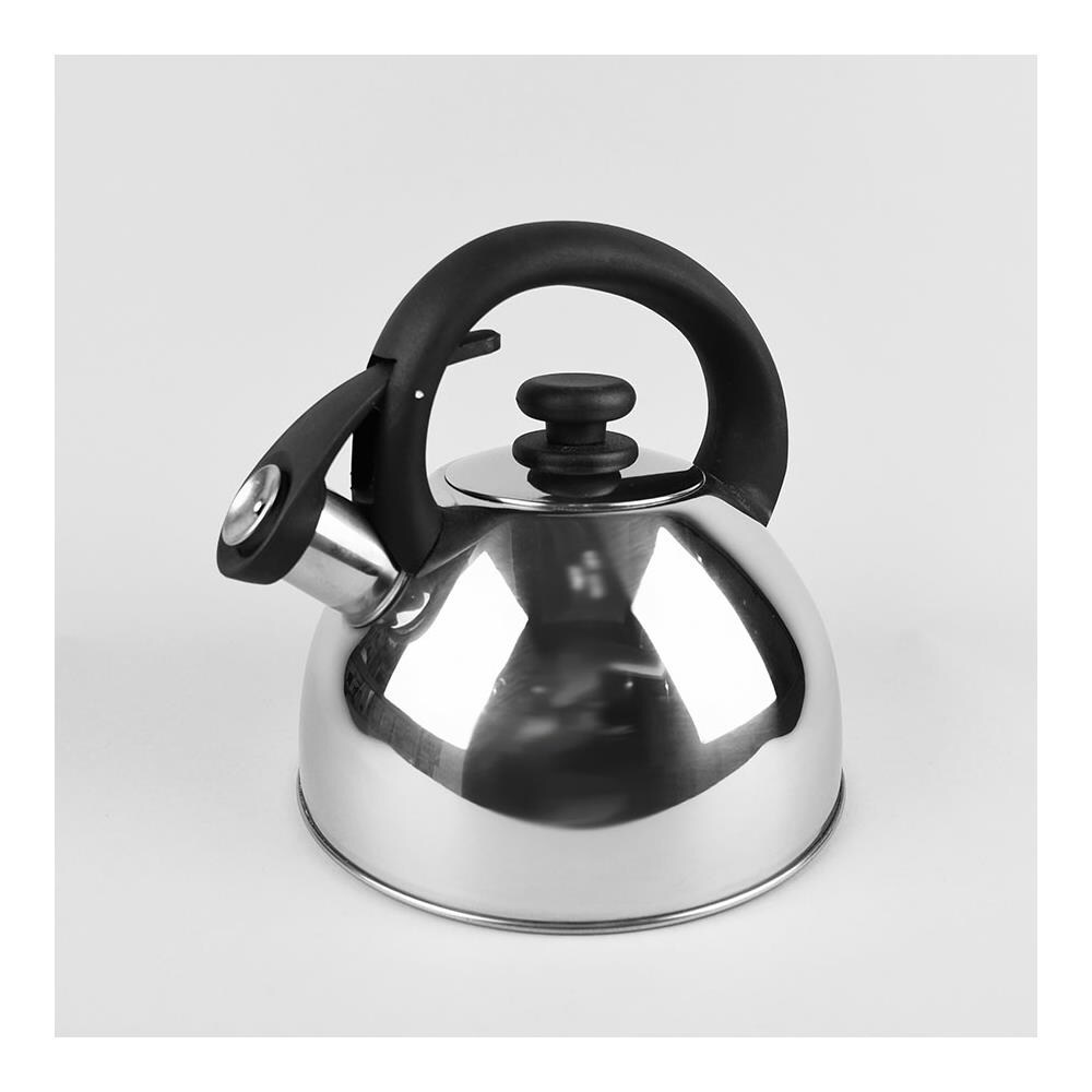 Bollitore Maestro 2,5 L Acciaio inossidabile - Foto 1