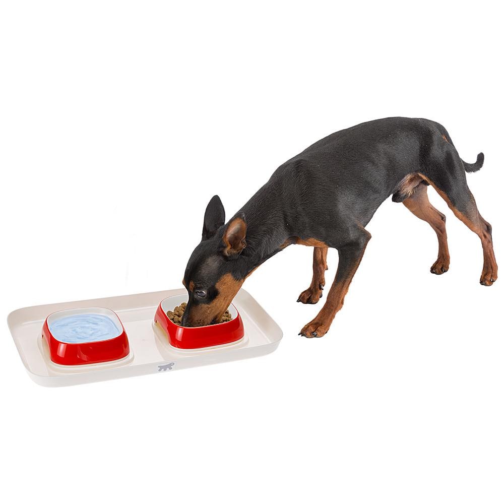 Vassoio Glam Tray Con Ciotole Cani Gatti Colorate Facile Pulizia - Foto 2