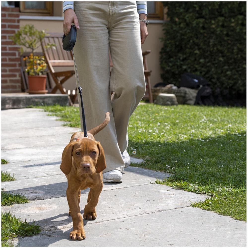Guinzaglio Allungabile Per Cani Medio Grandi Flippy One Cord M, Cordino Retraibile 5 M, Max 20 Kg, Rosso - Foto 2